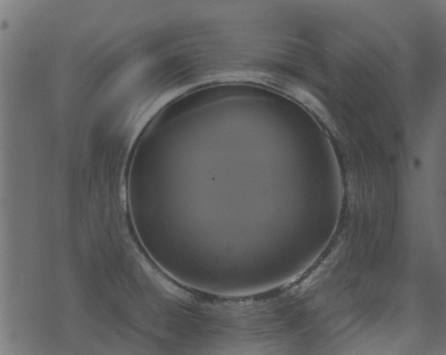 X0000071781428200606301209