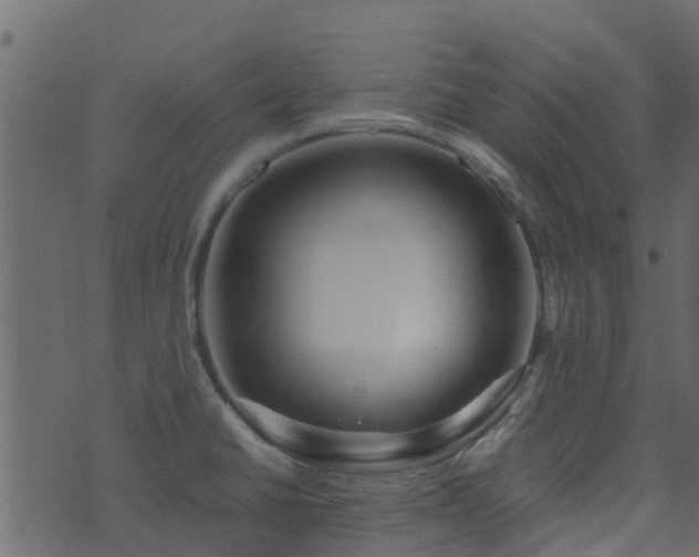 X0000071781430200606301209