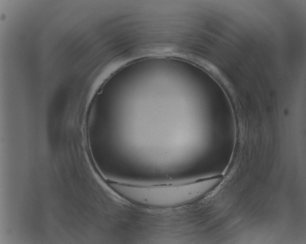 X0000071781432200606301209