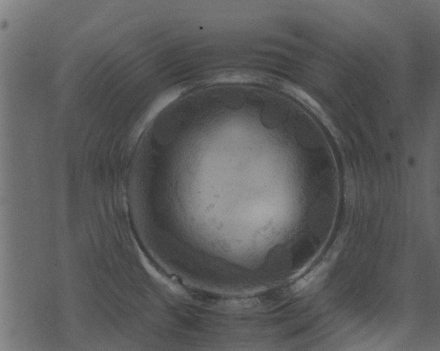 X0000071781433200606301209