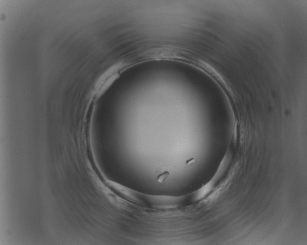 X0000071781434200606301209