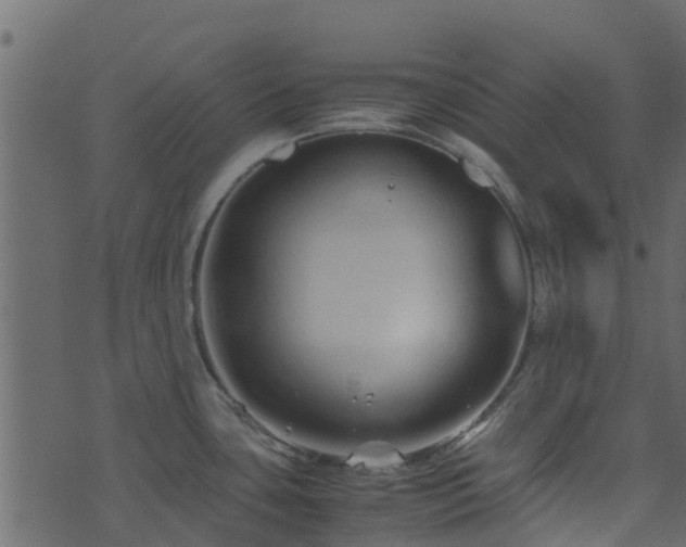 X0000071781435200606301209