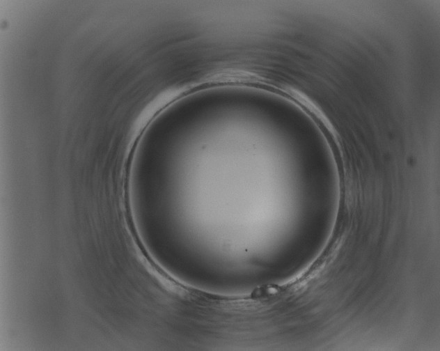 X0000071781437200606301209