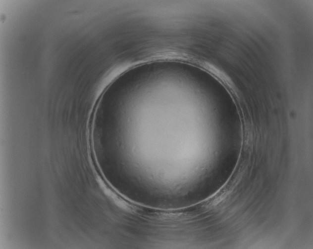 X0000071781439200606301209