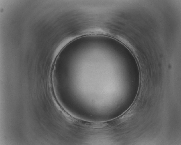 X0000071781440200606301209