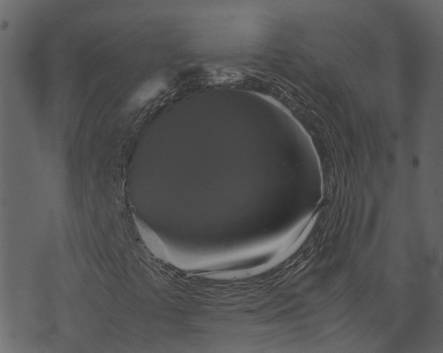 X0000071781441200606301208