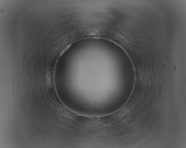 X0000071781442200606301208