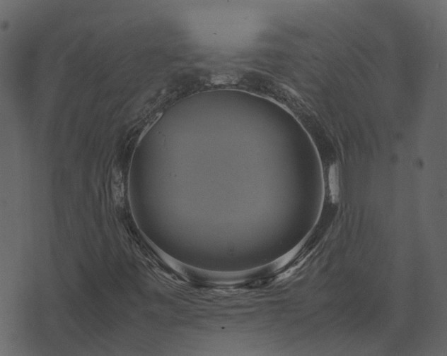 X0000071781443200606301208