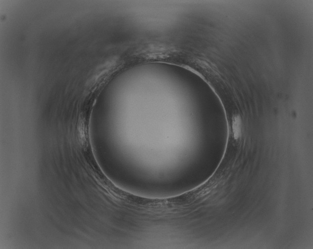 X0000071781444200606301208