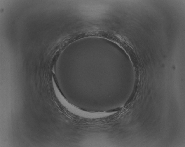 X0000071781445200606301208