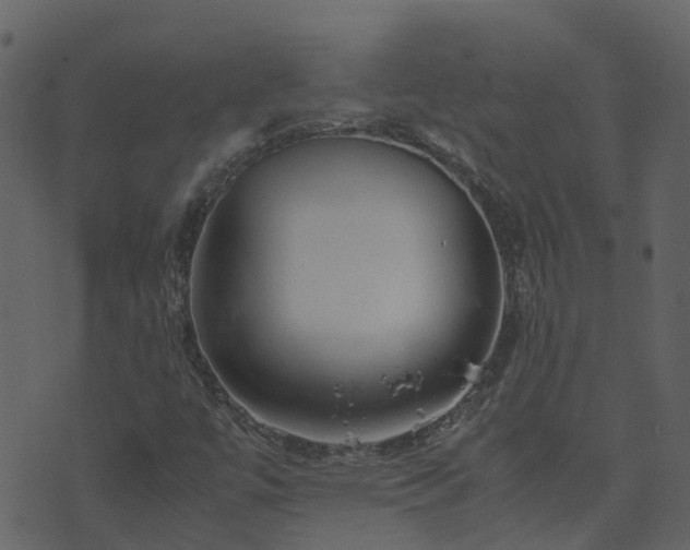 X0000071781447200606301208