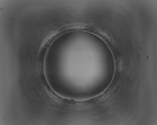 X0000071781448200606301208