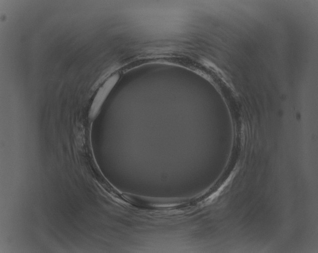 X0000071781449200606301208