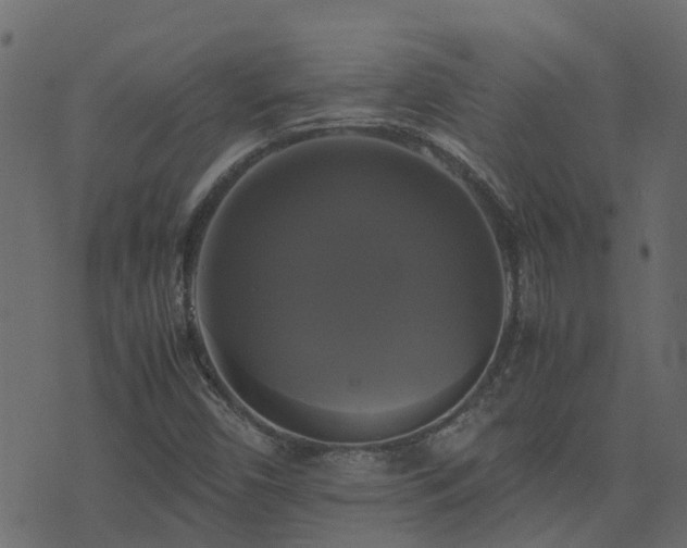 X0000071781450200606301208