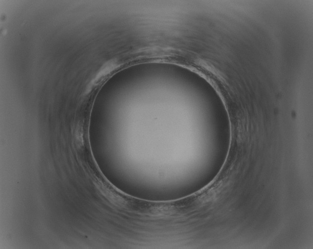 X0000071781451200606301208