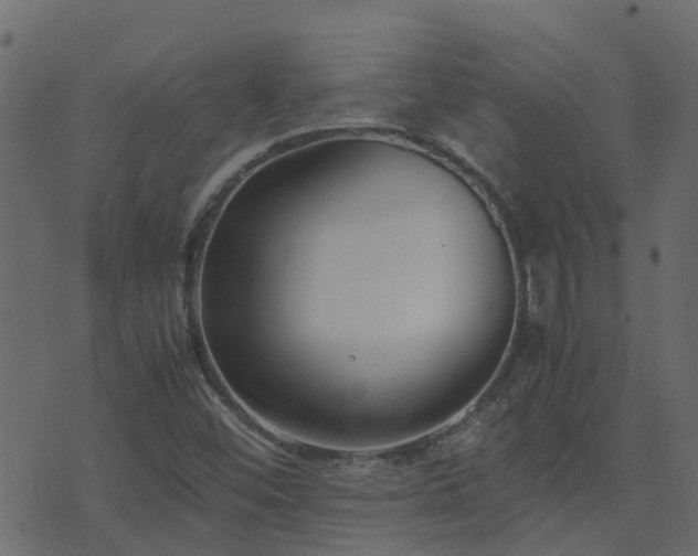 X0000071781452200606301208