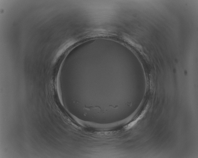 X0000071781453200606301208