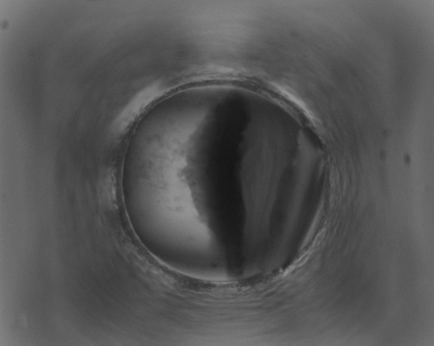 X0000071781455200606301208