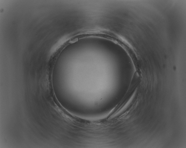 X0000071781456200606301208