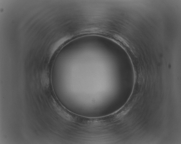 X0000071781458200606301208