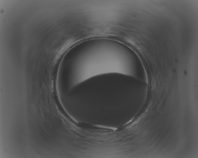 X0000071781459200606301208