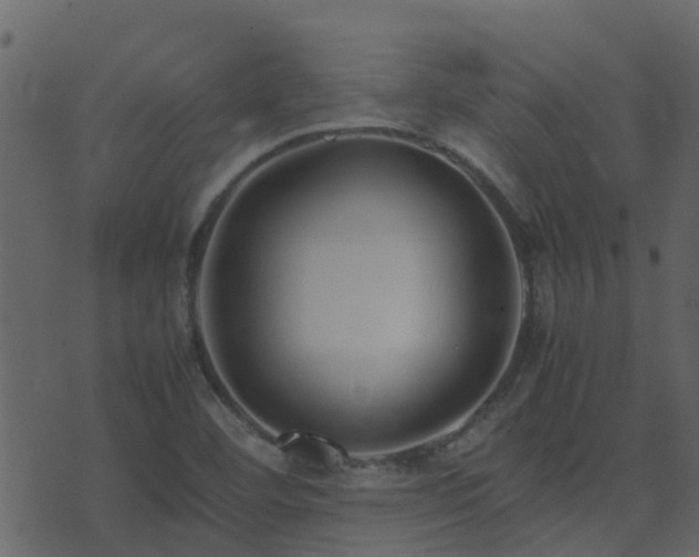 X0000071781460200606301208