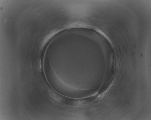 X0000071781461200606301208