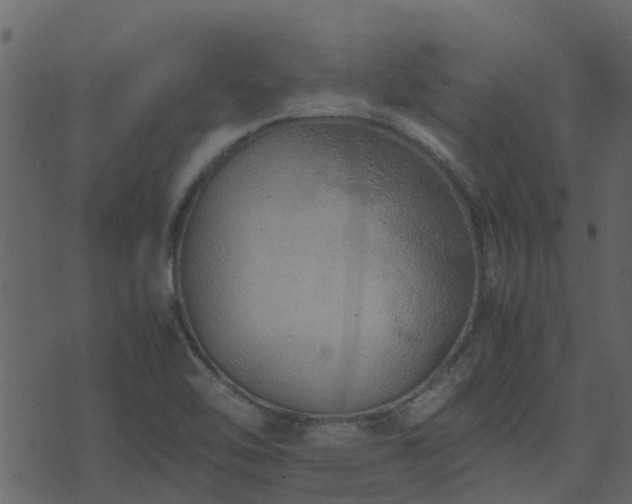 X0000071781462200606301208