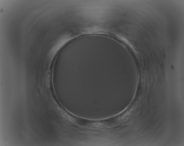 X0000071781463200606301208