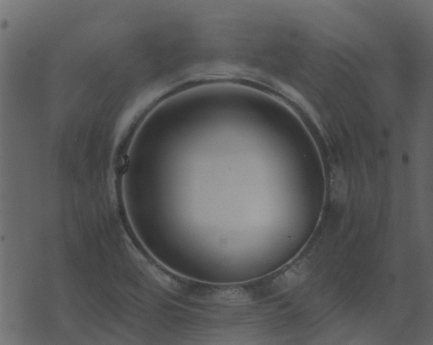 X0000071781464200606301208