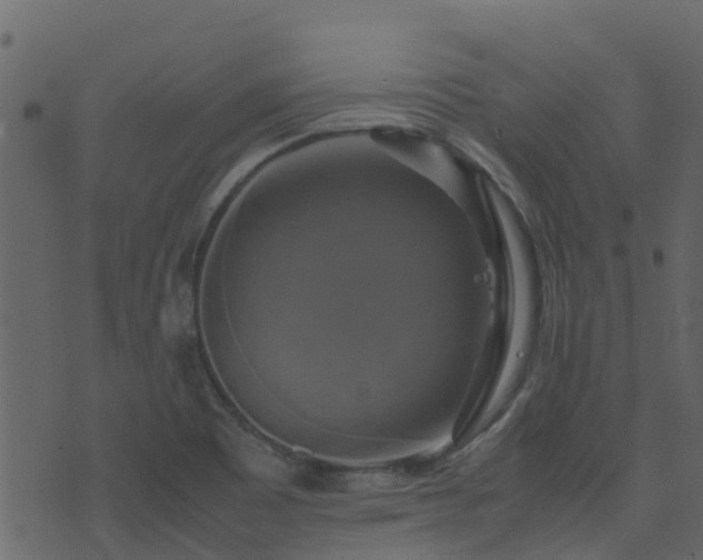 X0000071781465200606301208