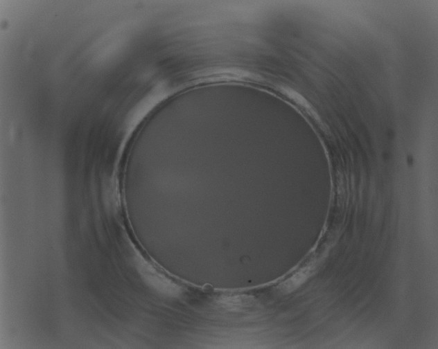 X0000071781466200606301208