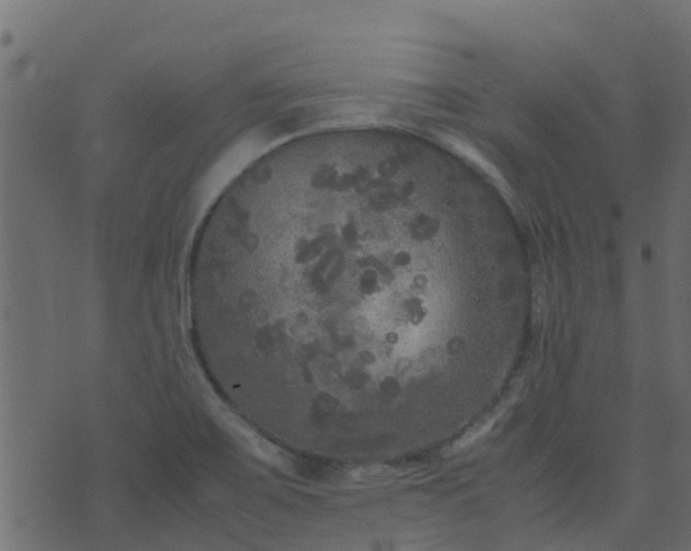 X0000071781467200606301208