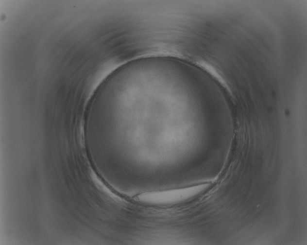 X0000071781468200606301208