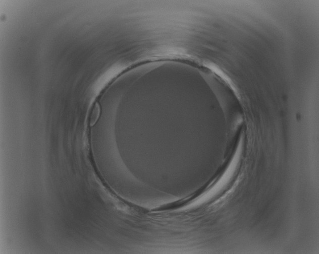 X0000071781469200606301208