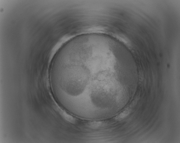 X0000071781470200606301208