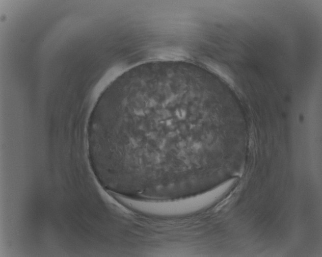 X0000071781471200606301208