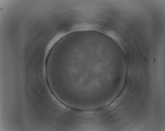 X0000071781472200606301208