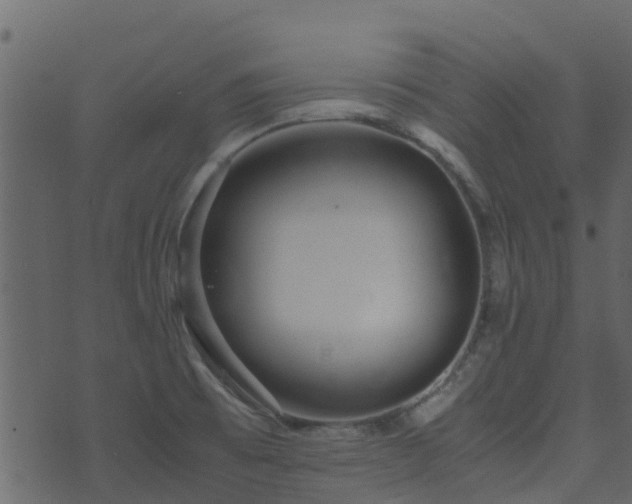 X0000071781473200606301208