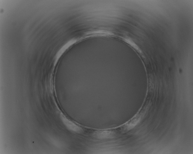 X0000071781474200606301208