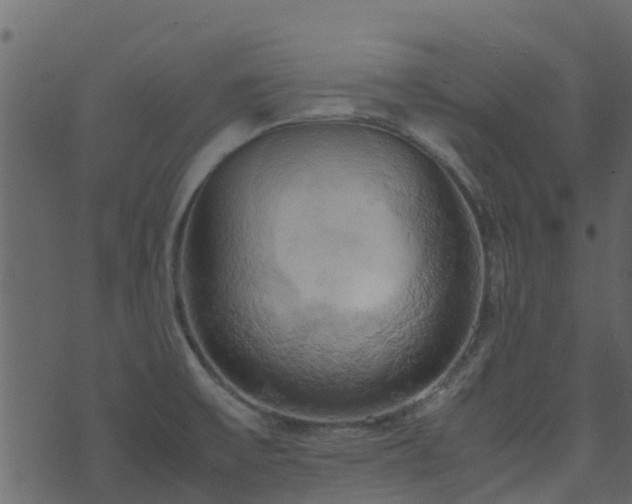 X0000071781475200606301208