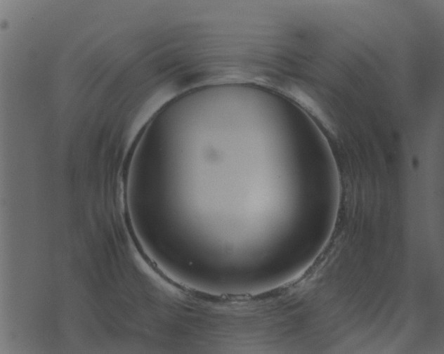 X0000071781476200606301208