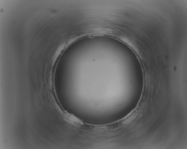 X0000071781477200606301208