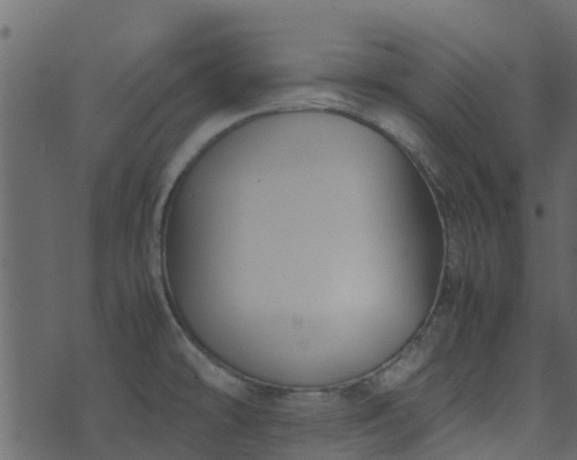 X0000071781478200606301208