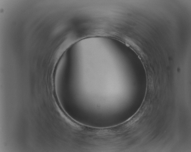 X0000071781479200606301208