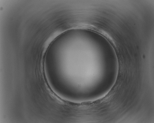 X0000071781480200606301208