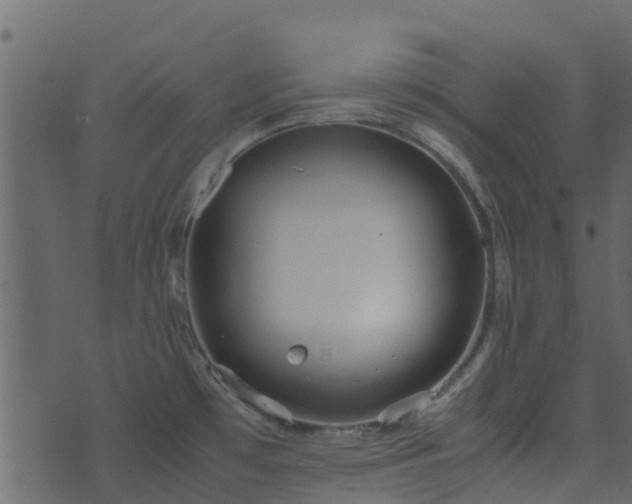 X0000071781481200606301208