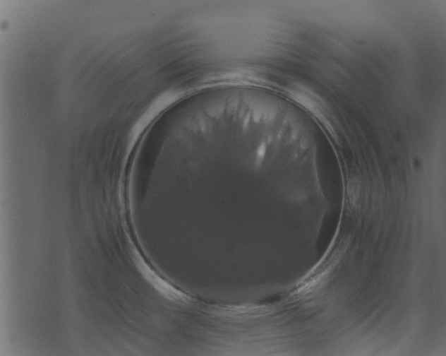 X0000071781482200606301208