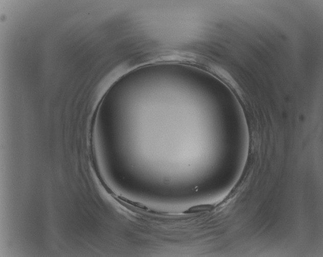 X0000071781483200606301208