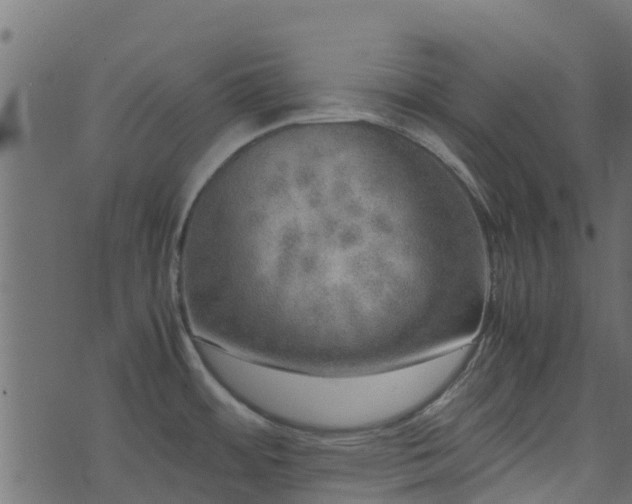 X0000071781484200606301208